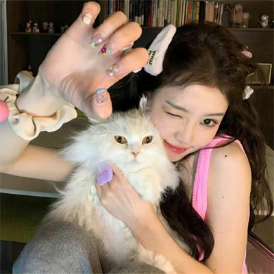 华山论剑之南帝北丐